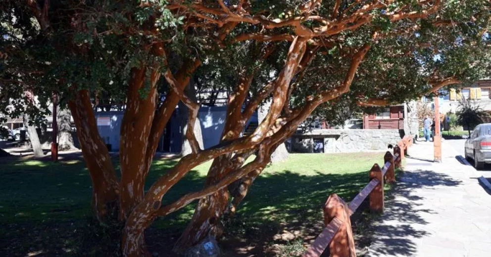 Apuntan al cuidado de los espacios públicos.