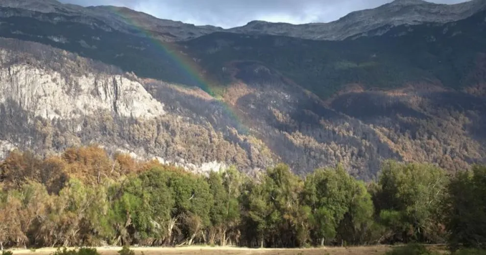 Agradecen a cada una de las instituciones que participaron en el operativo.