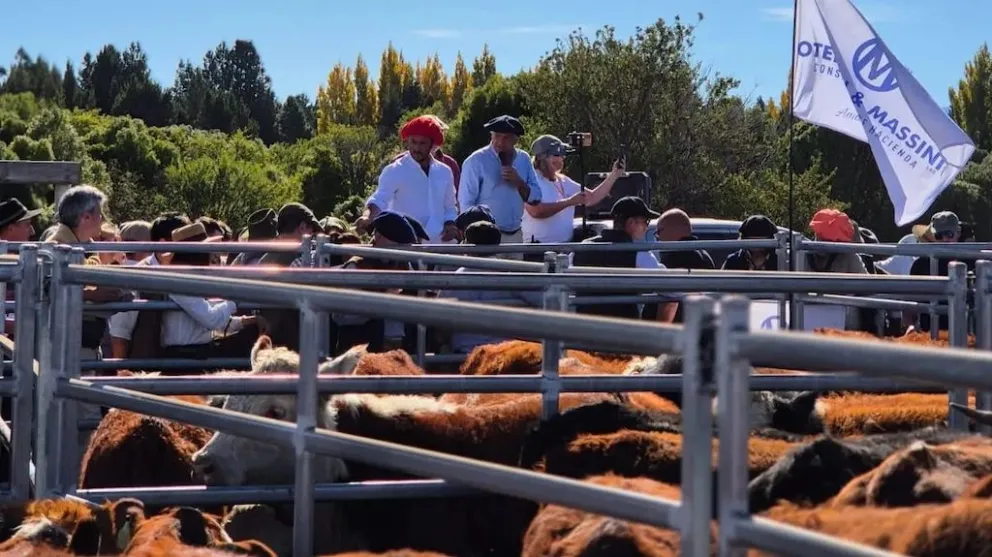 Potencian la actividad ganadera en pos de fortalecer la competitividad de productores.
