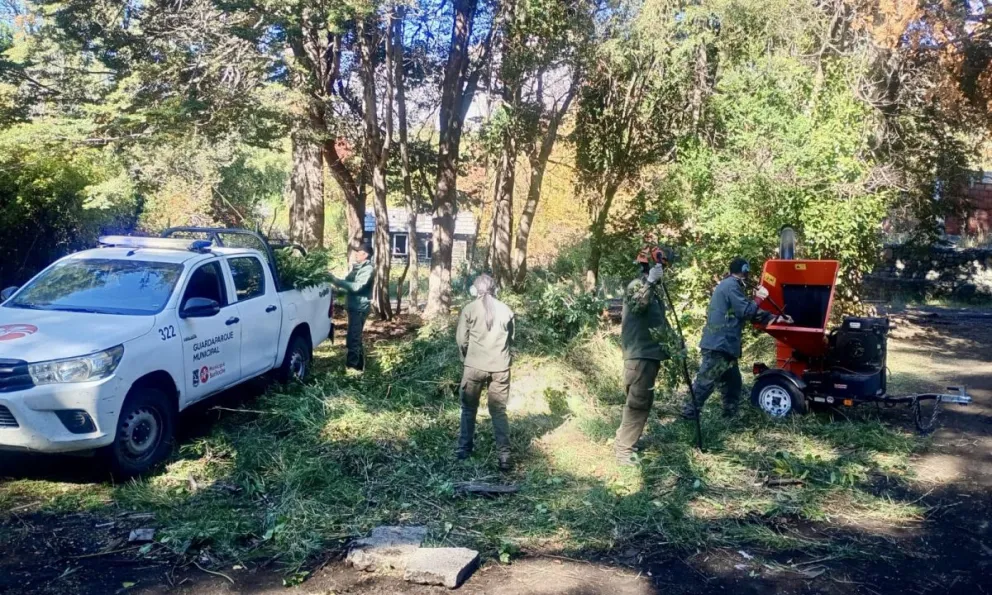 El trabajo permite aprovechar el residuo forestal. 