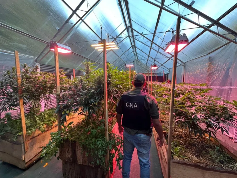 Todo el material quedó secuestrado, mientras que ocho integrantes de la organización quedaron supeditados a la causa.