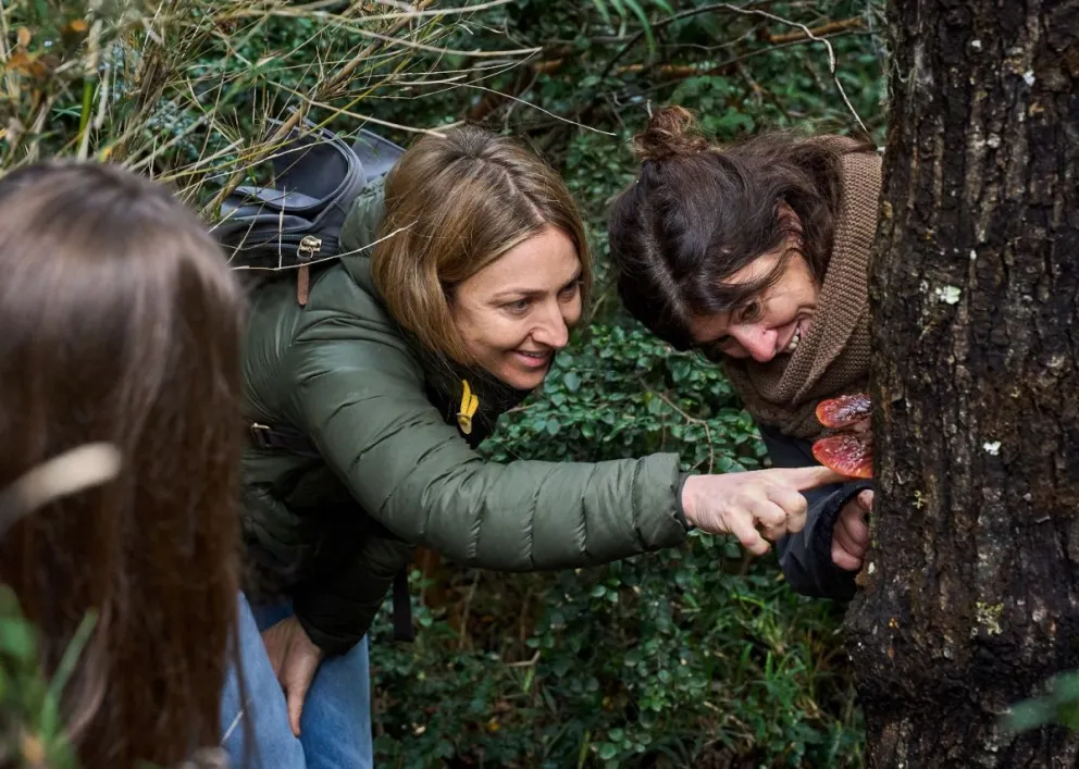 Caminata, bordado, poesía, cine y filosofía, algunas de las invitaciones de este año. Fotos evento.