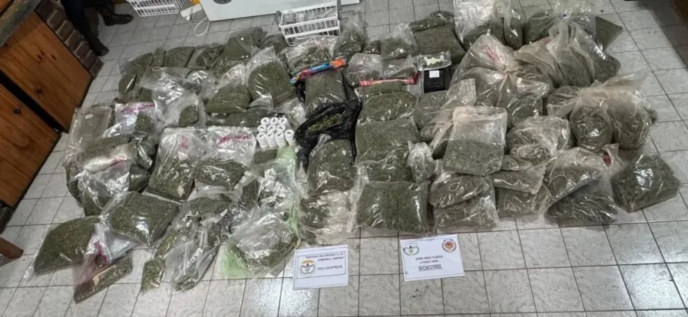 El cannabis incautado fue hallado distribuido en bolsas, cuidadosamente secado, procesado y sellado.