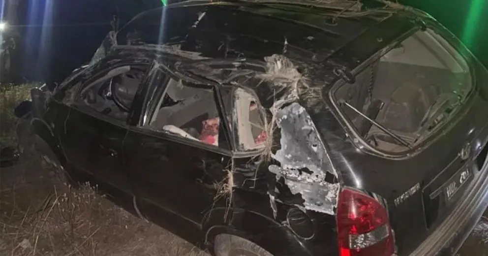 El hecho reaviva la preocupación por la circulación de animales sueltos en rutas de la región.