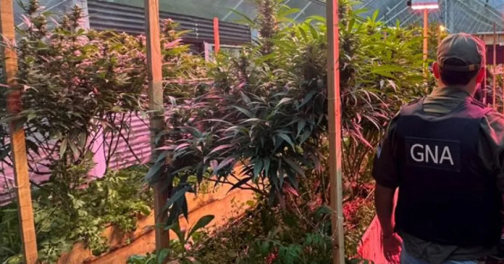 Las tareas investigativas previas al allanamiento fueron realizadas por la Unidad de Delitos Complejos de Gendarmería.