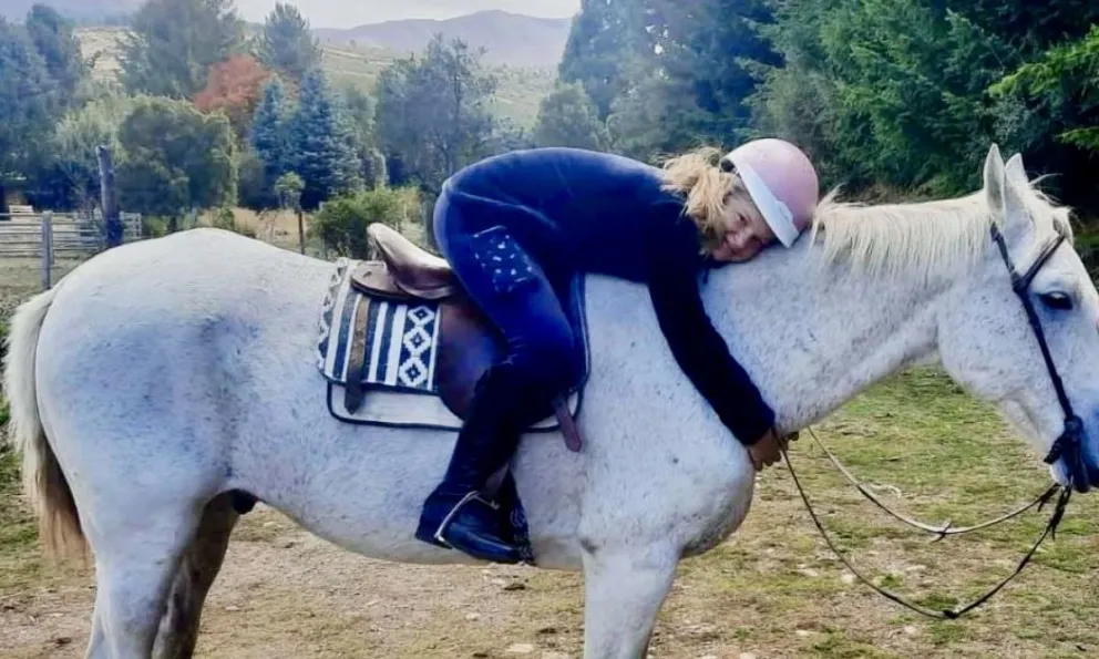 Una nueva vida para un caballo que sufrió mucho daño. 