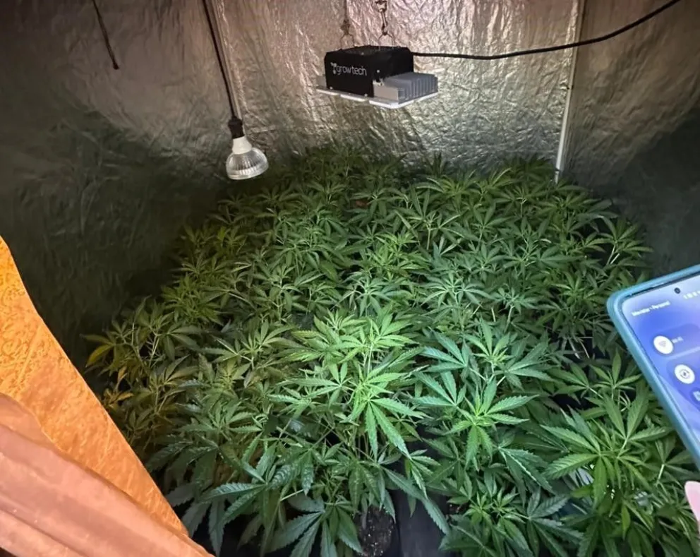 Una de las imágenes del allanamiento. 