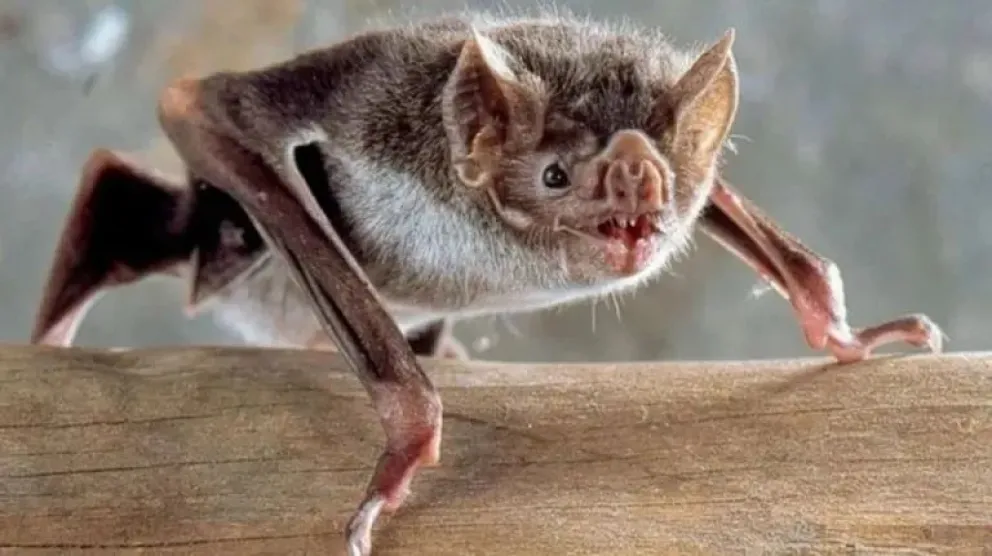 ¿Qué hay que tener en cuenta ante estas situaciones?