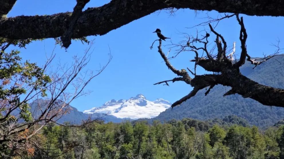 Aprender a identificar las especies de nuestra región.