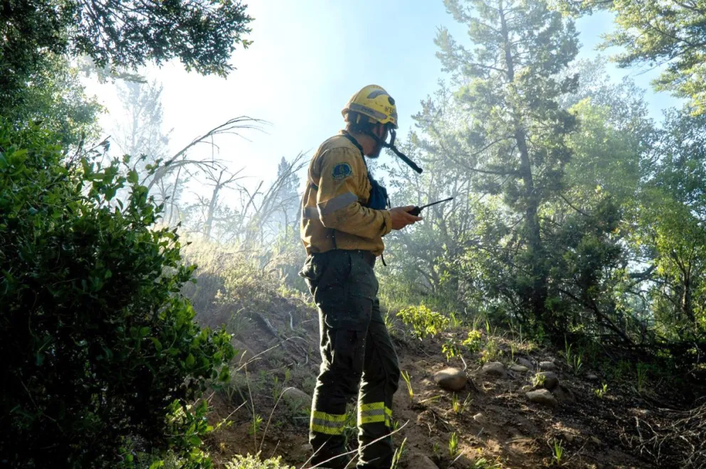 Es momento de reducir el material vegetal combustible en los terrenos.