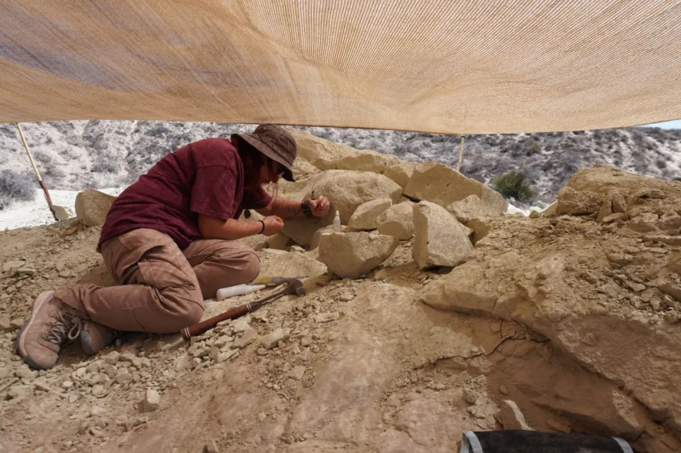 El proyecto también contó con el apoyo de la National Geographic Society, en el marco de investigaciones sobre el final de la era de los dinosaurios en Patagonia. Fotos Prensa Gobierno de Río Negro.