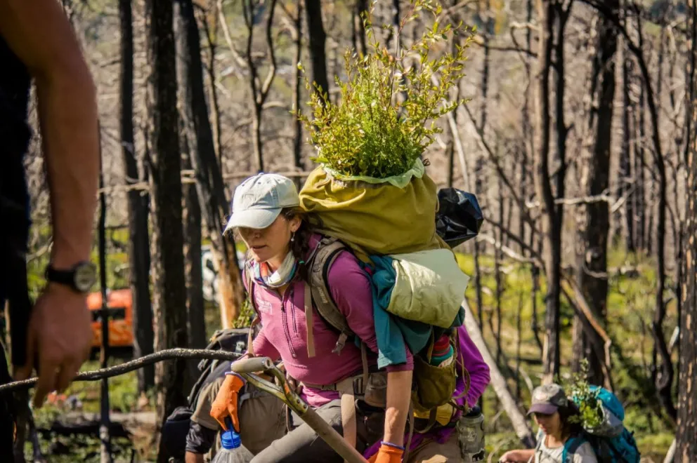 Una oportunidad para transitar y aprender del bosque. Foto Vito Piras / Circuito Verde.