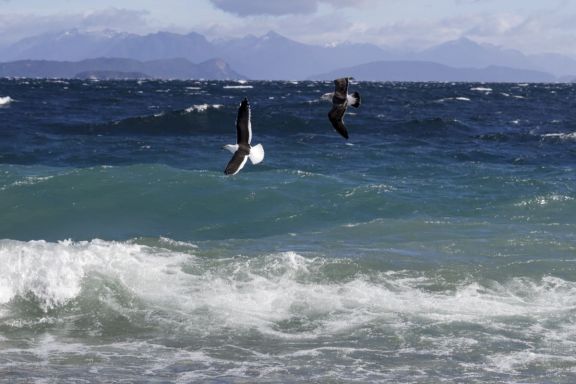 2026-04-29 viento-Clima