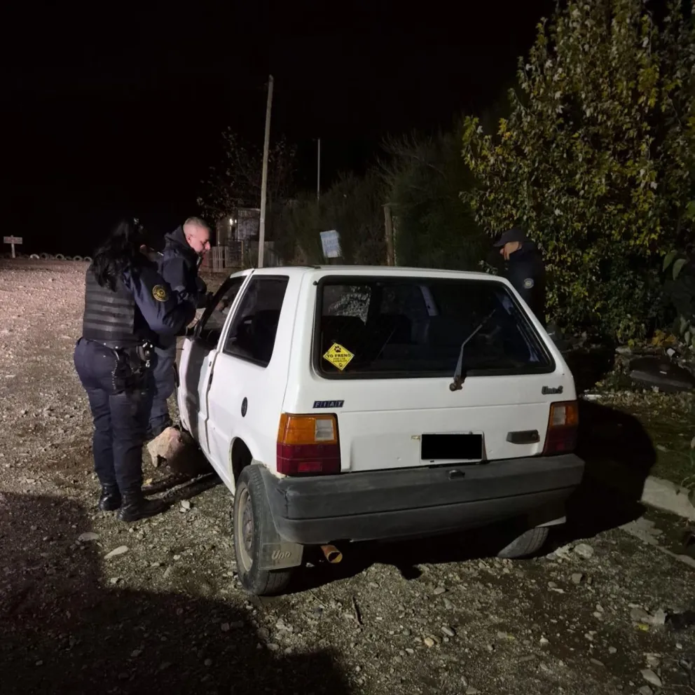 Los agarraron "con las manos en la masa", desrmando un auto robado en el oste de Bariloche. 