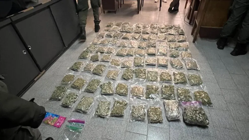 Secuestraron más de 13 kilos de marihuana en uno de los operativos. Foto: Jornada