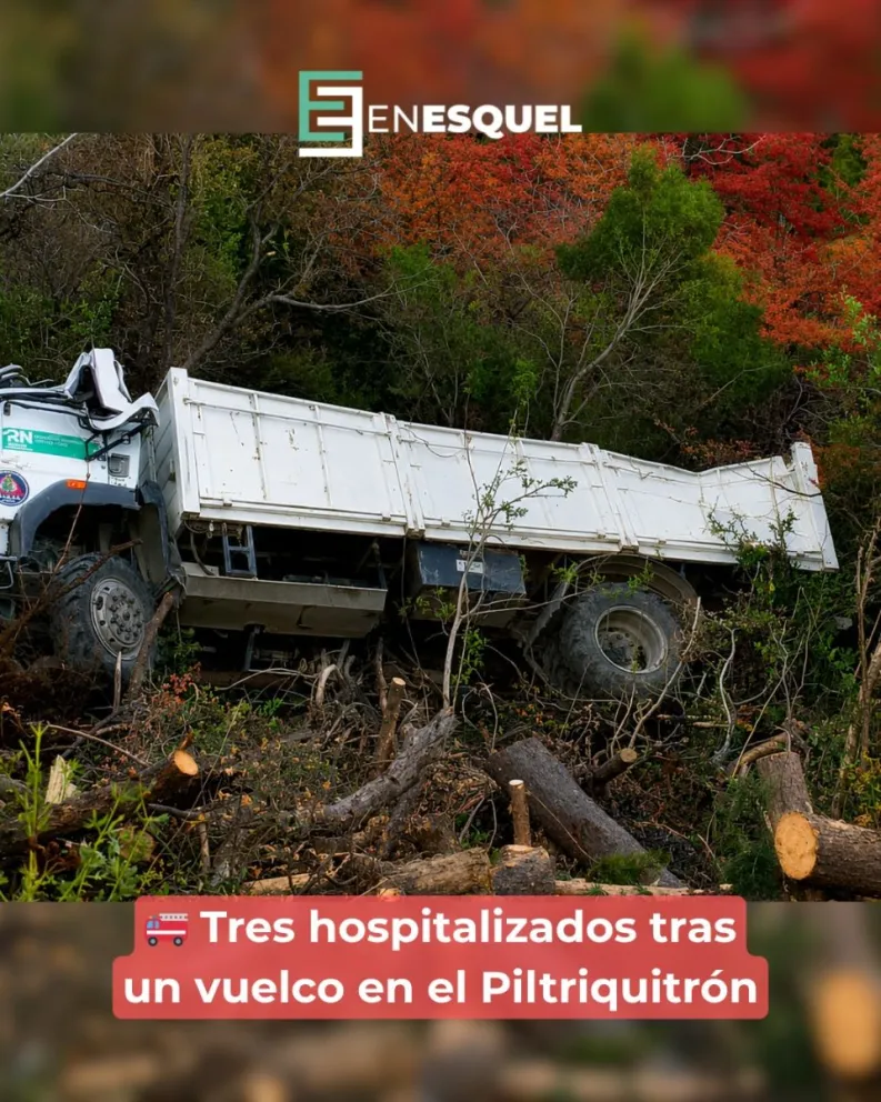 El camión rodó ladera abajo, afortunadamente los brigadistas no sufrieron heridas de gravedad. Foto gentileza Splif El Bolsón.