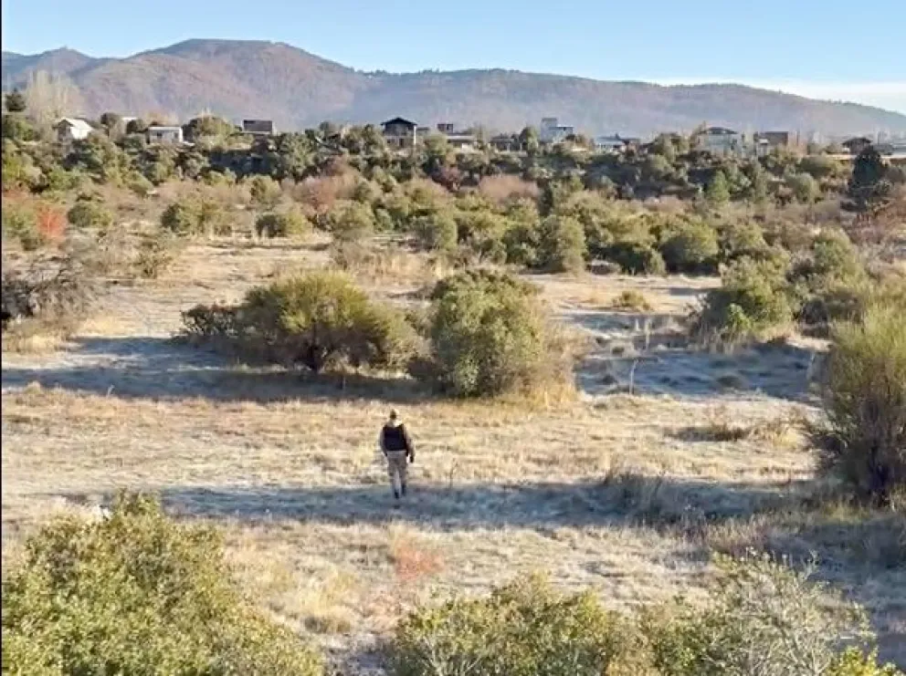 Uno de los sectores de búsqueda de este miércoles por la mañana es en los alrededores de Circunvalación.