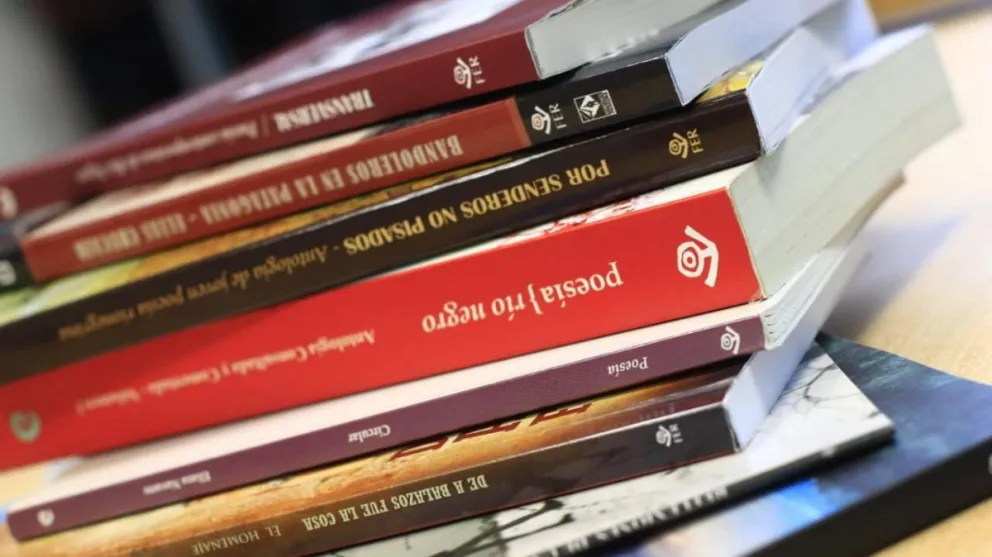 Este jueves comienza con el Bibliomóvil y la Feria del Libro en el Puerto San Carlos. Foto gentileza gobierno de Río Negro.