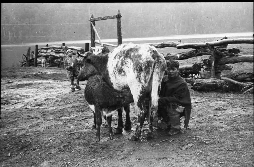 Los Quintupuray del Correntoso hacia 1930. Hasta 1894, el lago no figuró en ningún mapa. Colección Ljungner en Archivos del Sur.