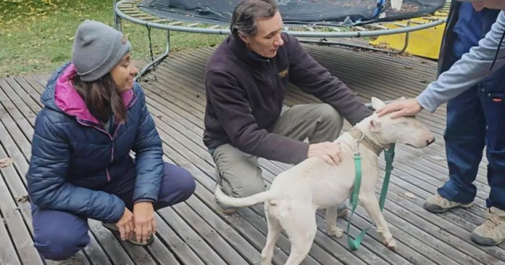 El animal tiene ahora una nueva oportunidad de mejorar su calidad de vida. Imagen Prensa del Municipio.
