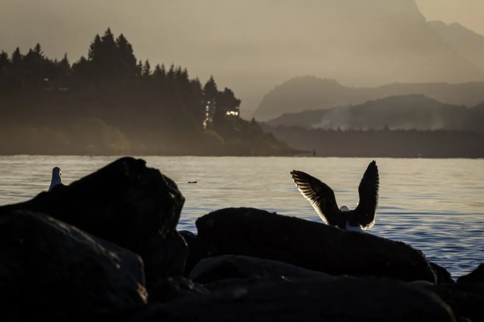 Mañanas muy frías y algo de sol por la tarde, así se vive el otoño en Bariloche. Foto de Eugenia Neme.