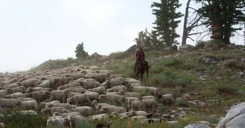 Escena de "Gaucho americano".