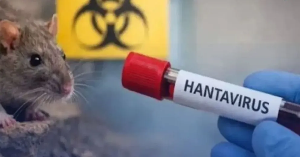 Han lanzado un Plan Regional de Acción para la prevención del hantavirus.