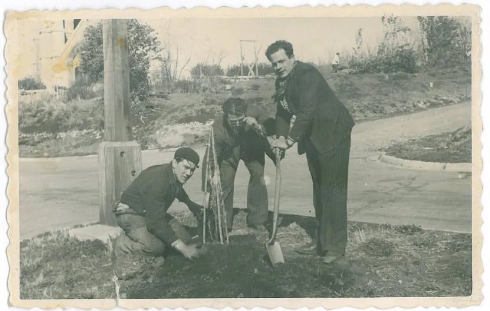 De izquierda a derecha: Carlos Soria, Salamida y Jesús Arroyo, plantando uno de los pinos. Imagen del archivo familiar.