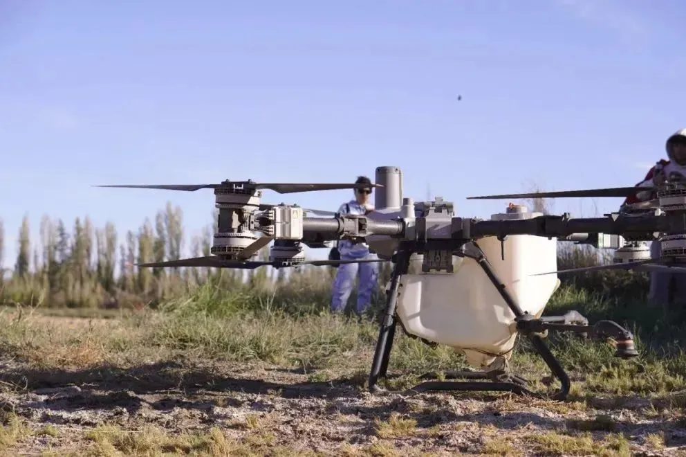 La siembra de cebada forrajera se realizó con drones agrícolas en una parcela productiva del Ceaer. Foto: Ceaer.