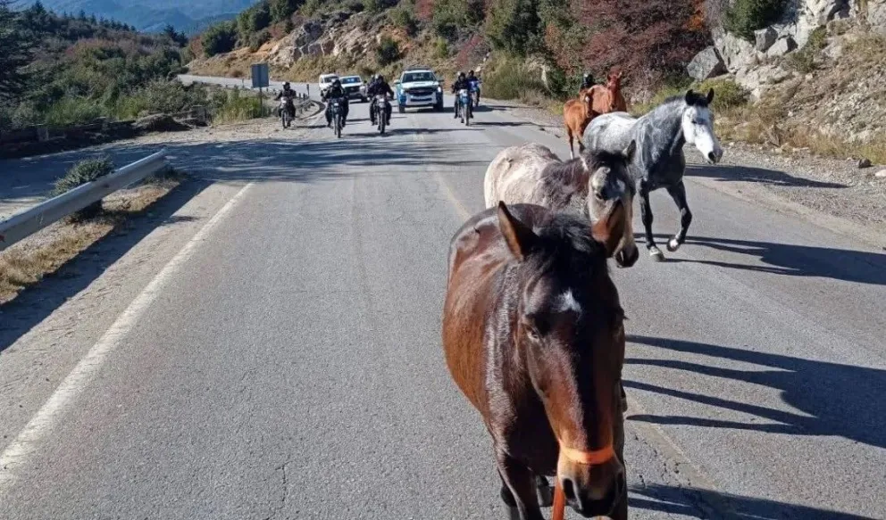 Momentos anteriores al trabajo policíaco. Foto Realidad Sanmartiniense 