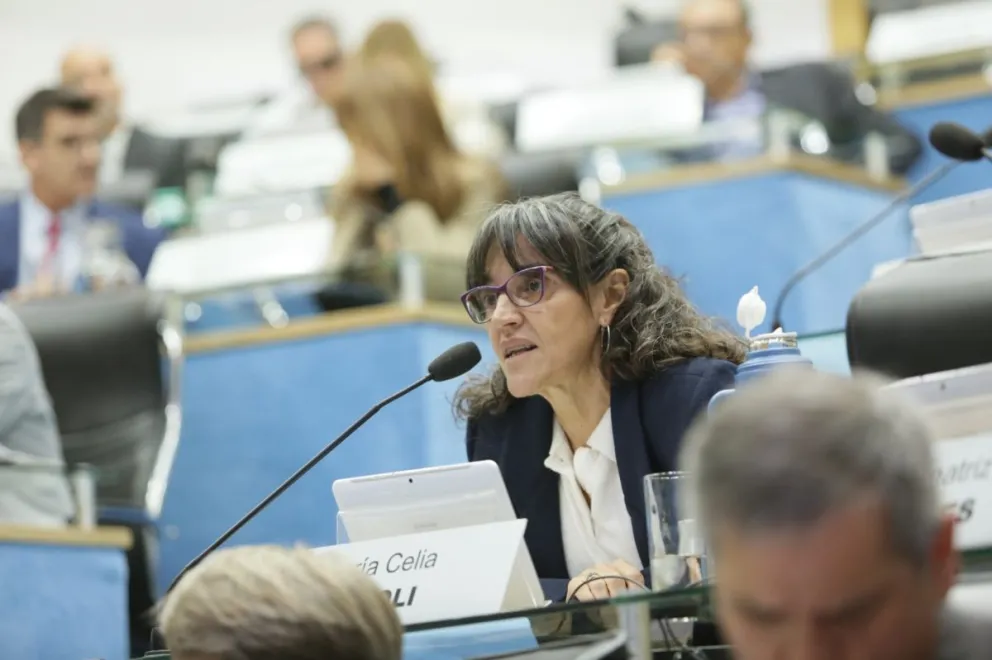 El proyecto de la legisladora Maricel Cévoli incorpora estándares de vanguardia en materia de derechos humanos. Foto Legislatura de Río Negro.