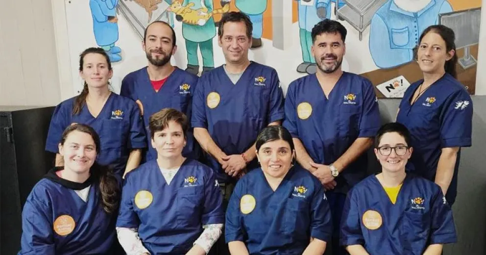 El equipo de Sanidad Animal del municipio local. 