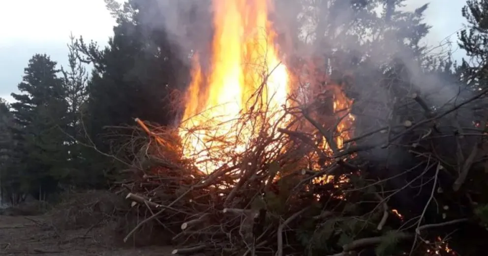 Es fundamental reducir el material vegetal combustible antes del verano.