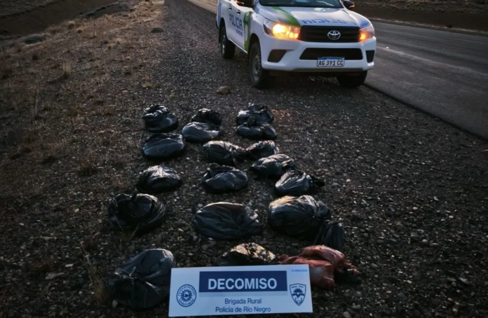 El operativo formó parte de los controles periódicos que llevan adelante las Brigadas Rurales de la Policía de Río Negro.