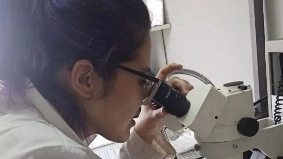 El trabajo aporta herramientas para su identificación y para futuros estudios sobre su presencia en la región. Foto: UNRN