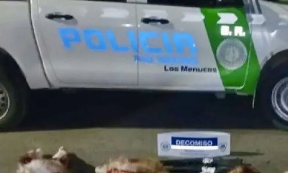 Los restos de cuatro guanacos encontrados en la camioneta. Fotos de la Brigada Rural.