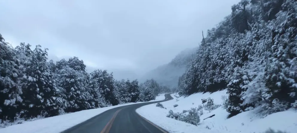 Intensa nevada en la zona de Ruta 40 camino a San Martín de los Andes. 