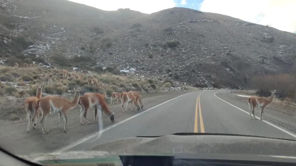 Se recomienda respetar las velocidades permitidas, evitar maniobras bruscas y mantenerse alerta durante todo el recorrido.
