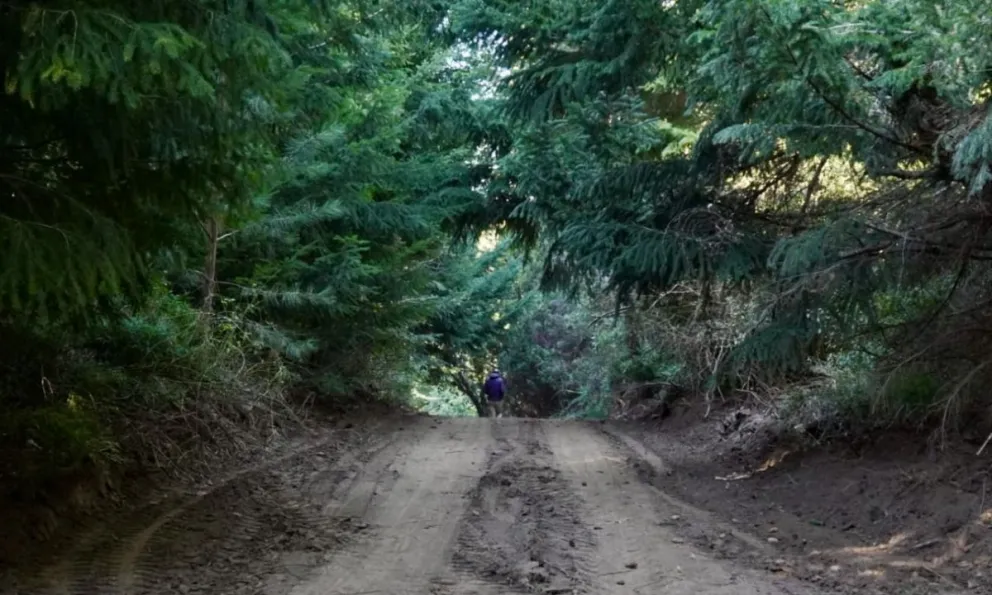 Los trabajos avanzan desde la curva ubicada en la zona de Suyai Alto hasta la salida hacia Llao Llao.
