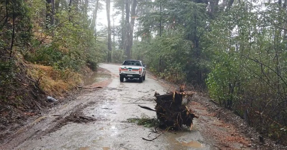 Se recuerda que hay horarios de ingreso y egreso en ese sector del Parque Nacional Nahuel Huapi.