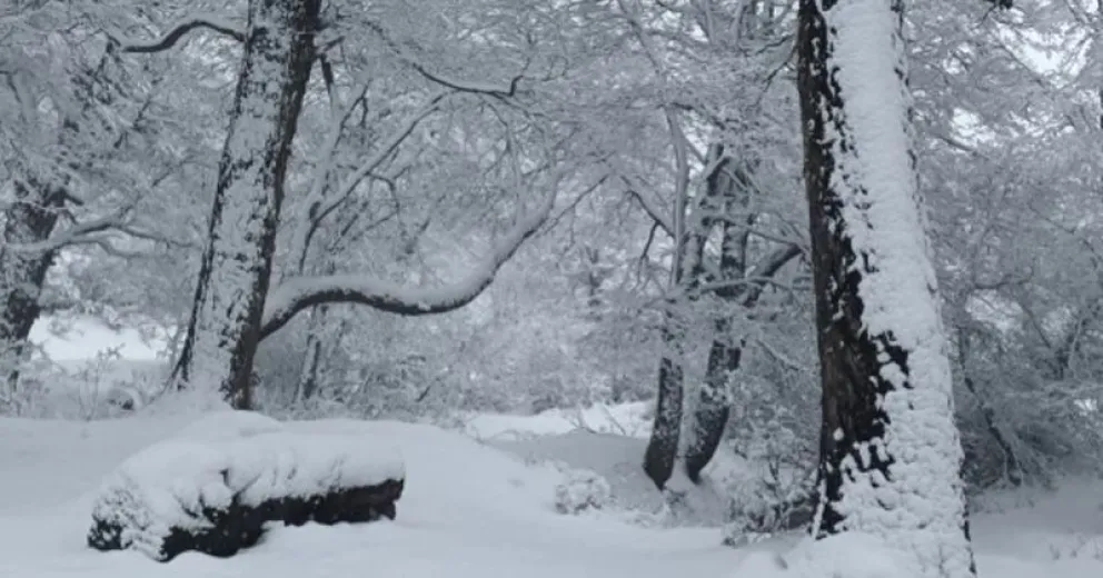 Se anuncian fuertes precipitaciones en la región. Imagen del Parque Nacional Nahuel Huapi.