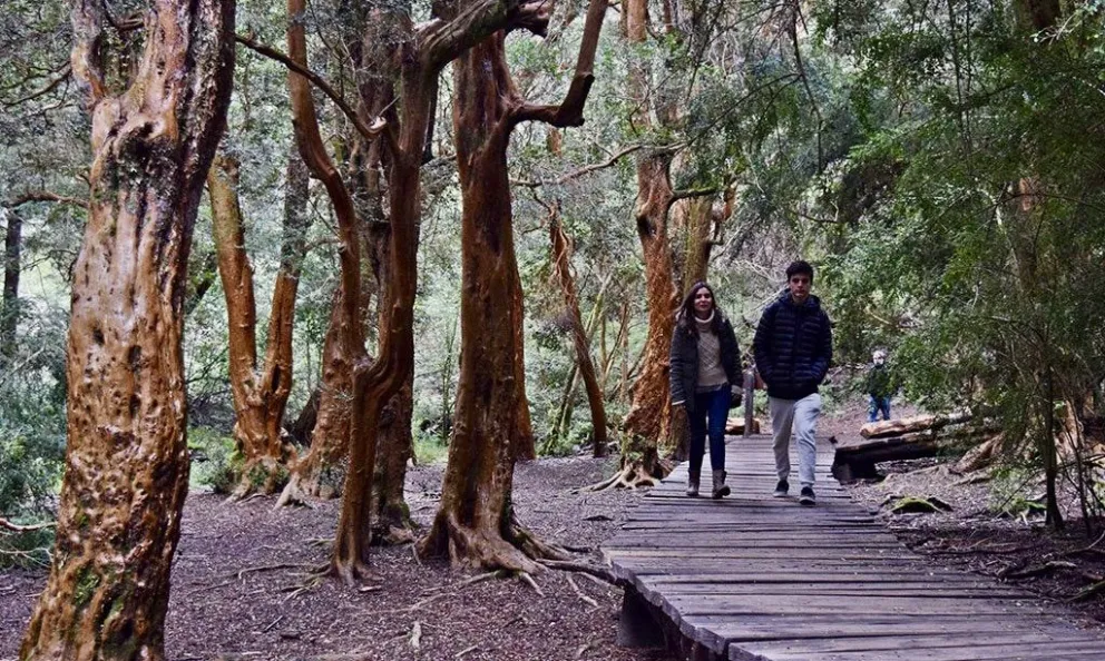 SPLIF y el Municipio trabajan de forma coordinada para concretar acciones de prevención en el Parque Llao Llao. 