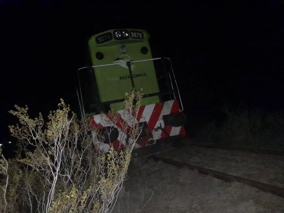 Descarriló una formación del Tren Patagónico tras un incidente y trabajan en la evacuación de pasajeros