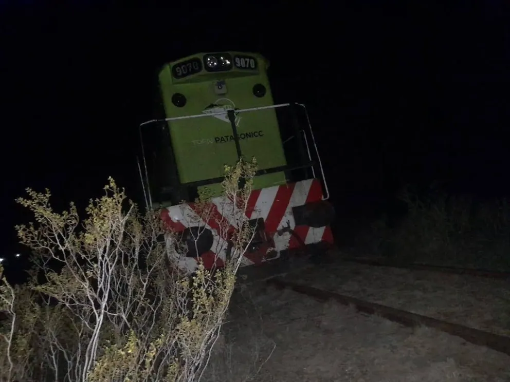 Desde la empresa estatal lanzaron un fuerte llamado de atención a los dueños de campos linderos para que mantengan los alambrados en condiciones. Foto: Gentileza.