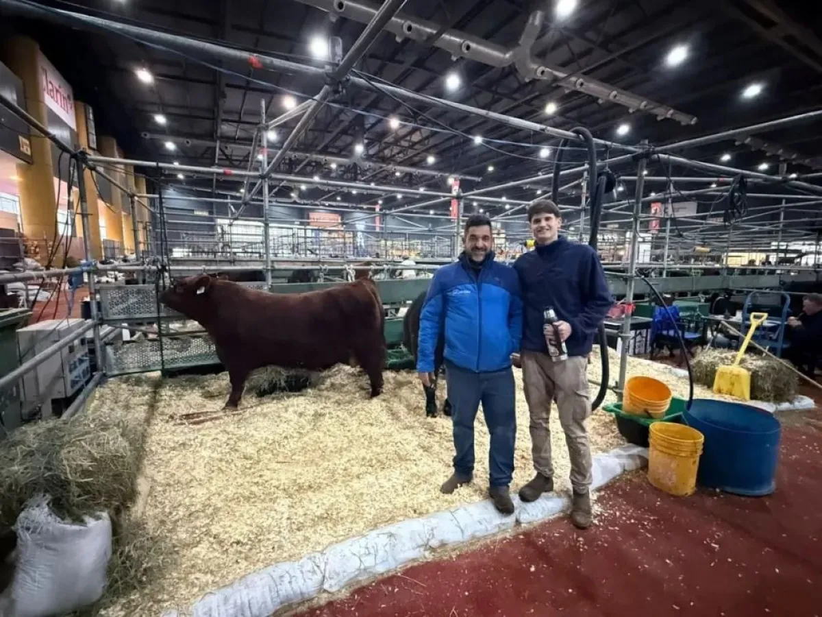 De Viedma a la pista más prestigiosa del país: el sueño de un joven cabañero que compite en la Rural de Palermo
