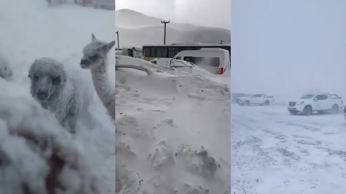 VIDEOS: nieve, frío extremo y vientos de 170 km/h: el histórico temporal que golpea a Catamarca
