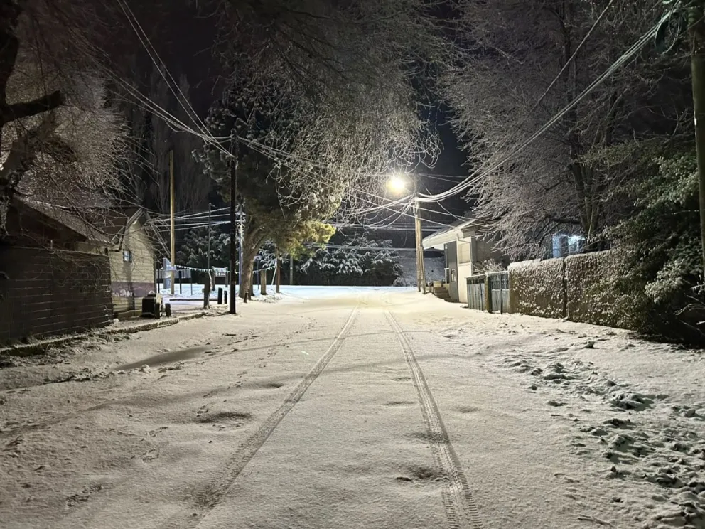 Llegó la nieve tan esperada, el pronóstico anuncia que continuará.
