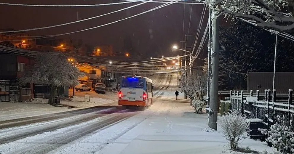 Llegó la nieve tan esperada, el pronóstico anuncia que continuará.