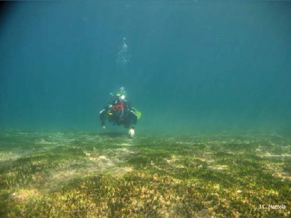 La intención es descubrir la vida bajo la superficie. Foto tomada por Juan Carlos Mazzola, gentileza de Pablo Vigliano.