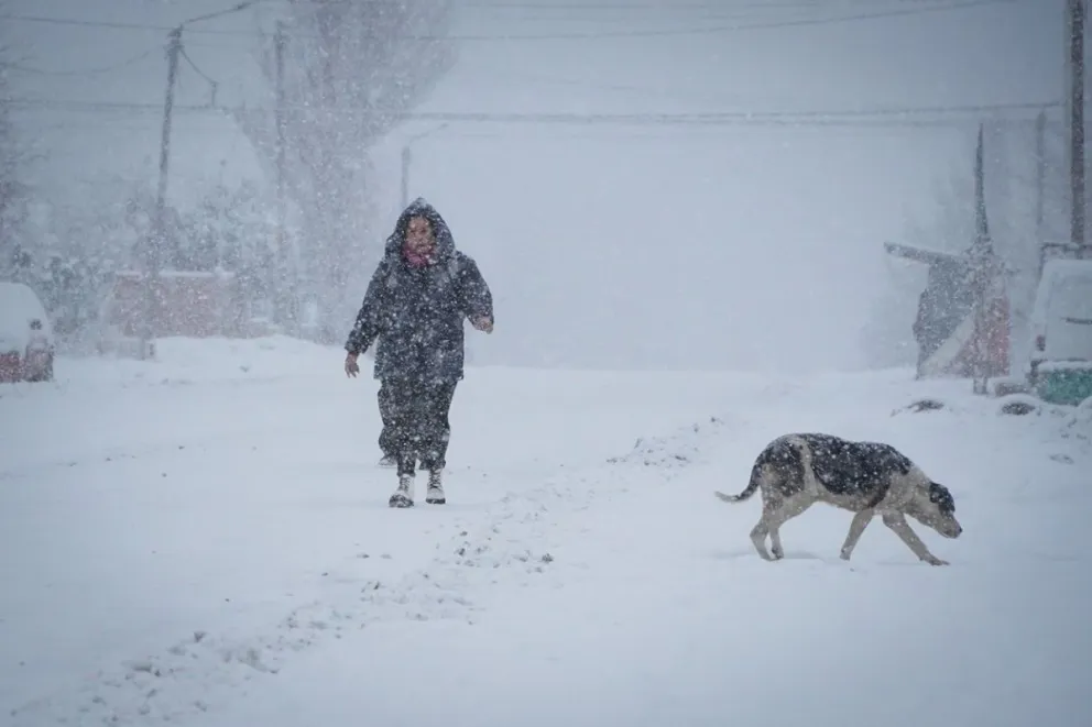 La próxima semana comienza con anuncios de nevadas y recién el miércoles cesarían las precipitaciones. Foto de Facundo Pardo.